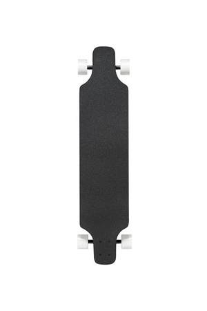 Longboard Palm Feather