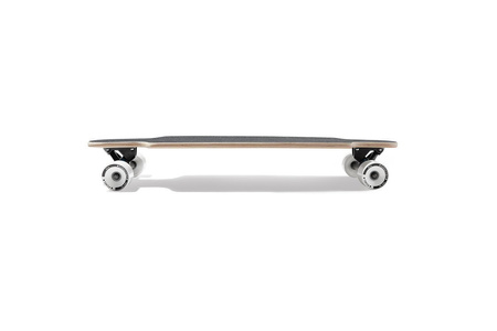 Longboard Palm Rainbow