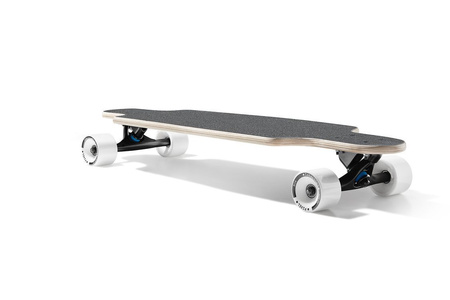 Longboard Palm Rainbow