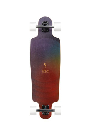 Longboard Palm Rainbow