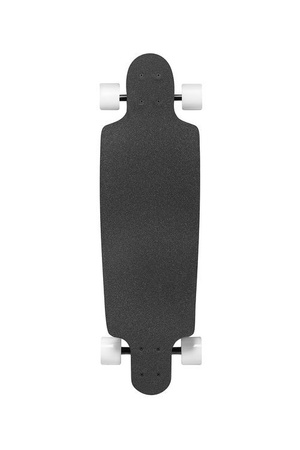 Longboard Palm Rainbow