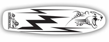 Teslaboards City Cruiser